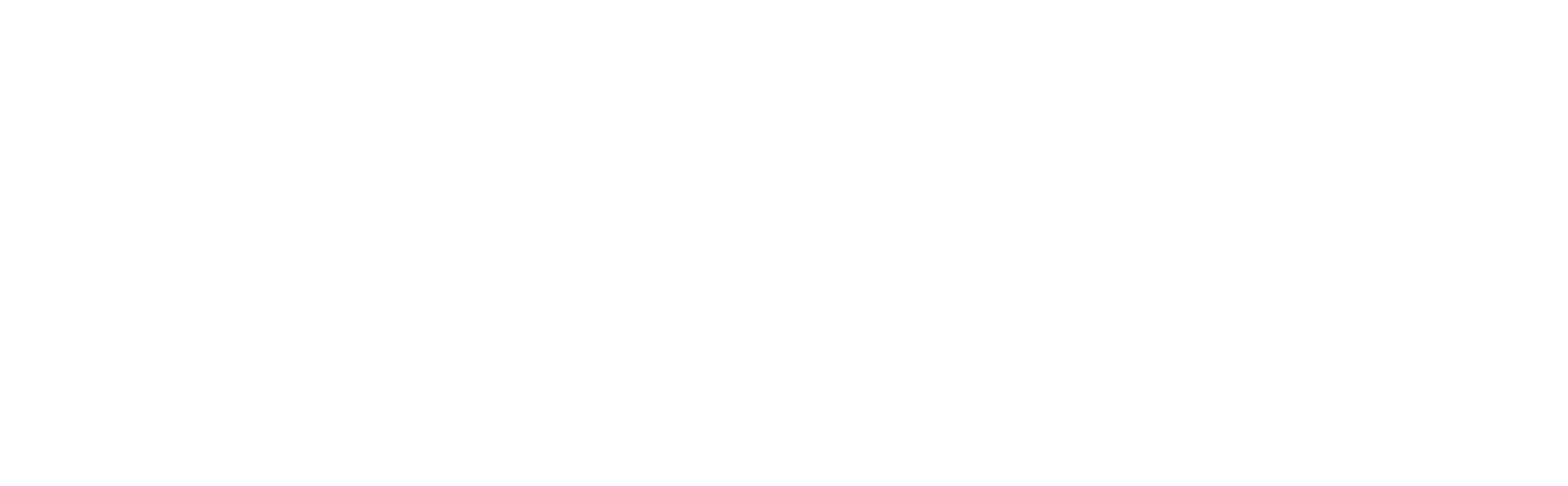 Logo Bucher weiß transparent