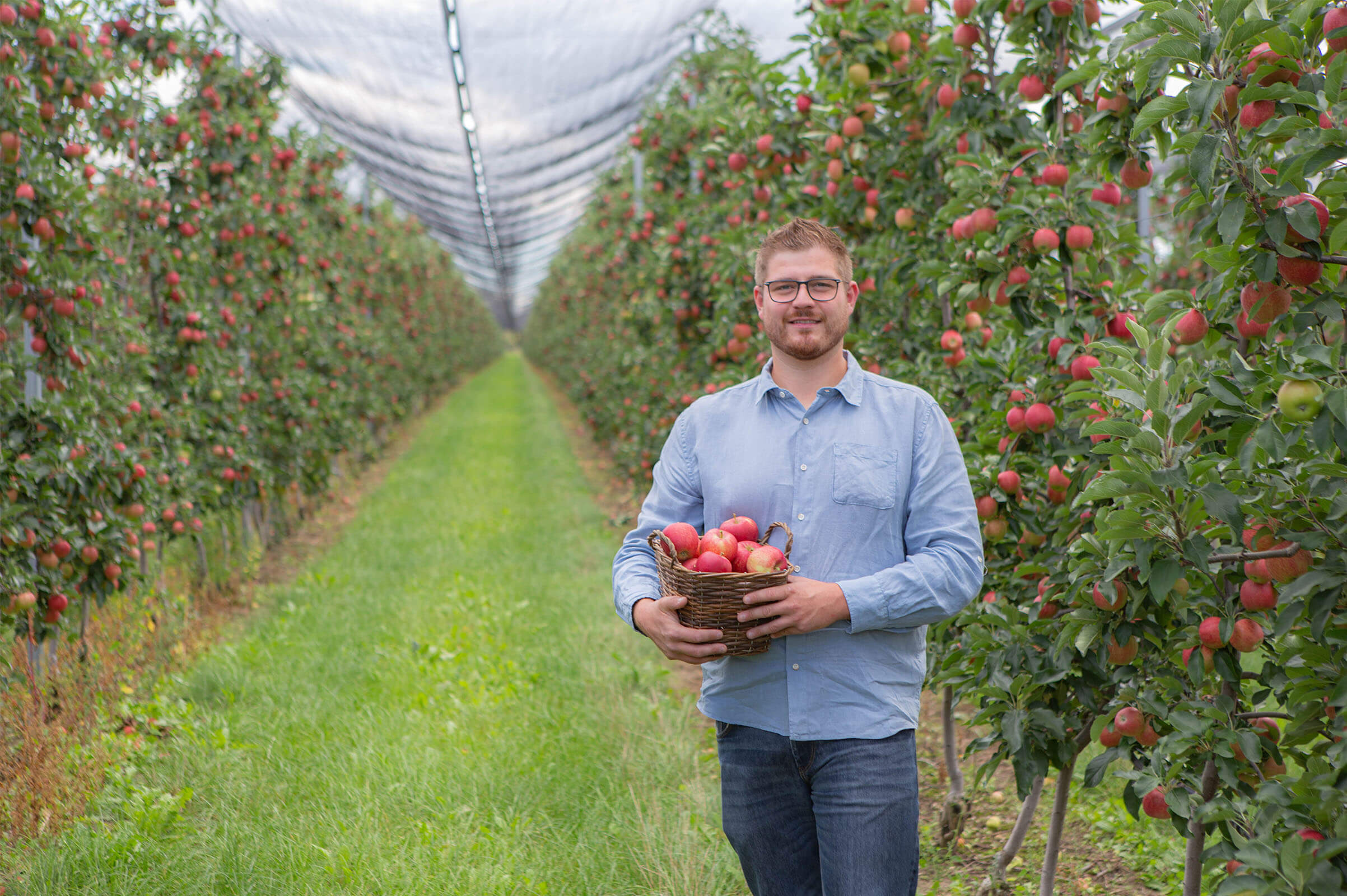 Manuel in der Obstanlage